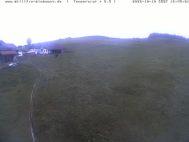 Archiv Foto Webcam Skilifte Sinswang - Blick auf die Skipiste