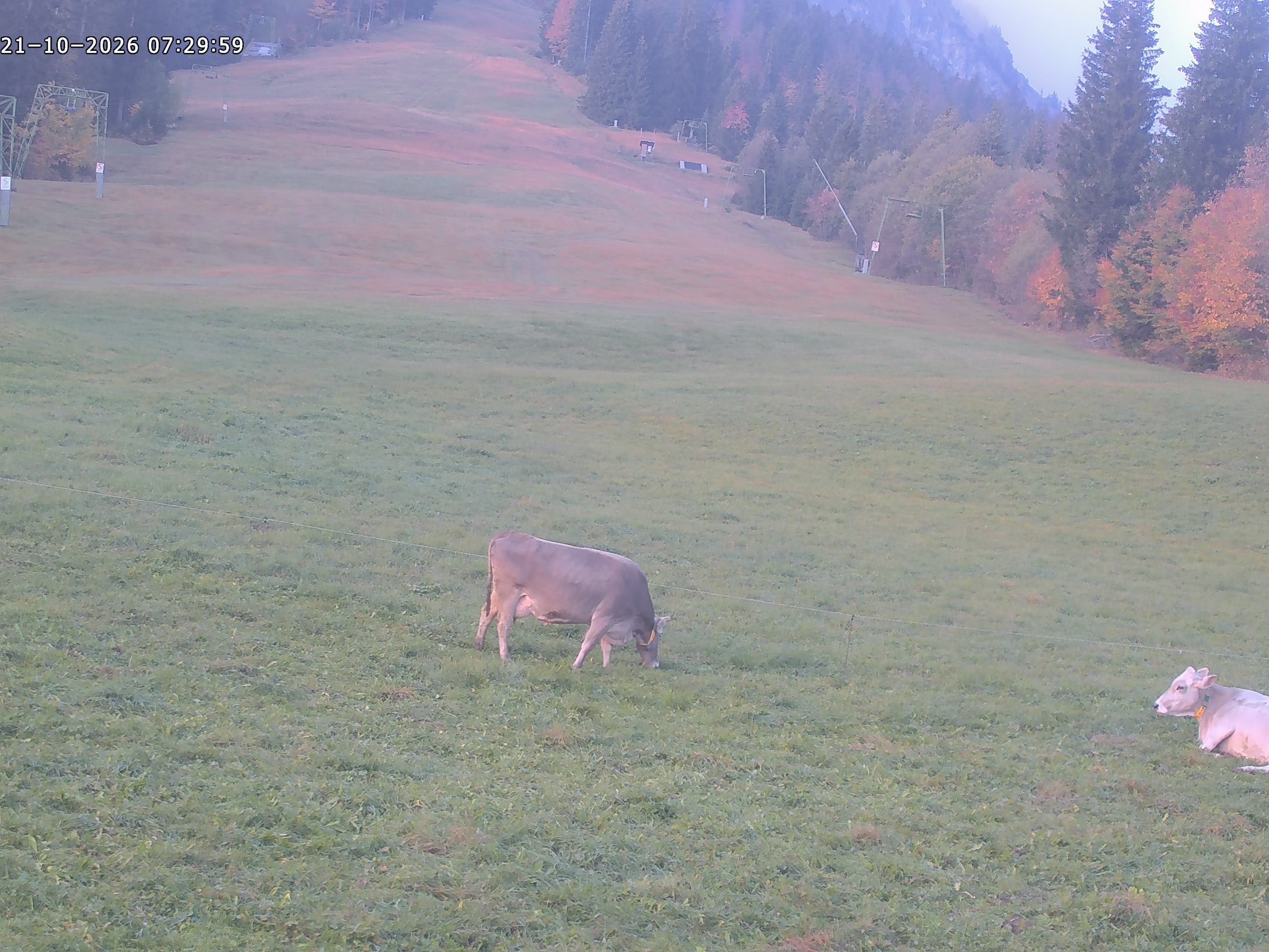Archiv Foto Webcam Spieserlifte Unterjoch Blick auf die Piste