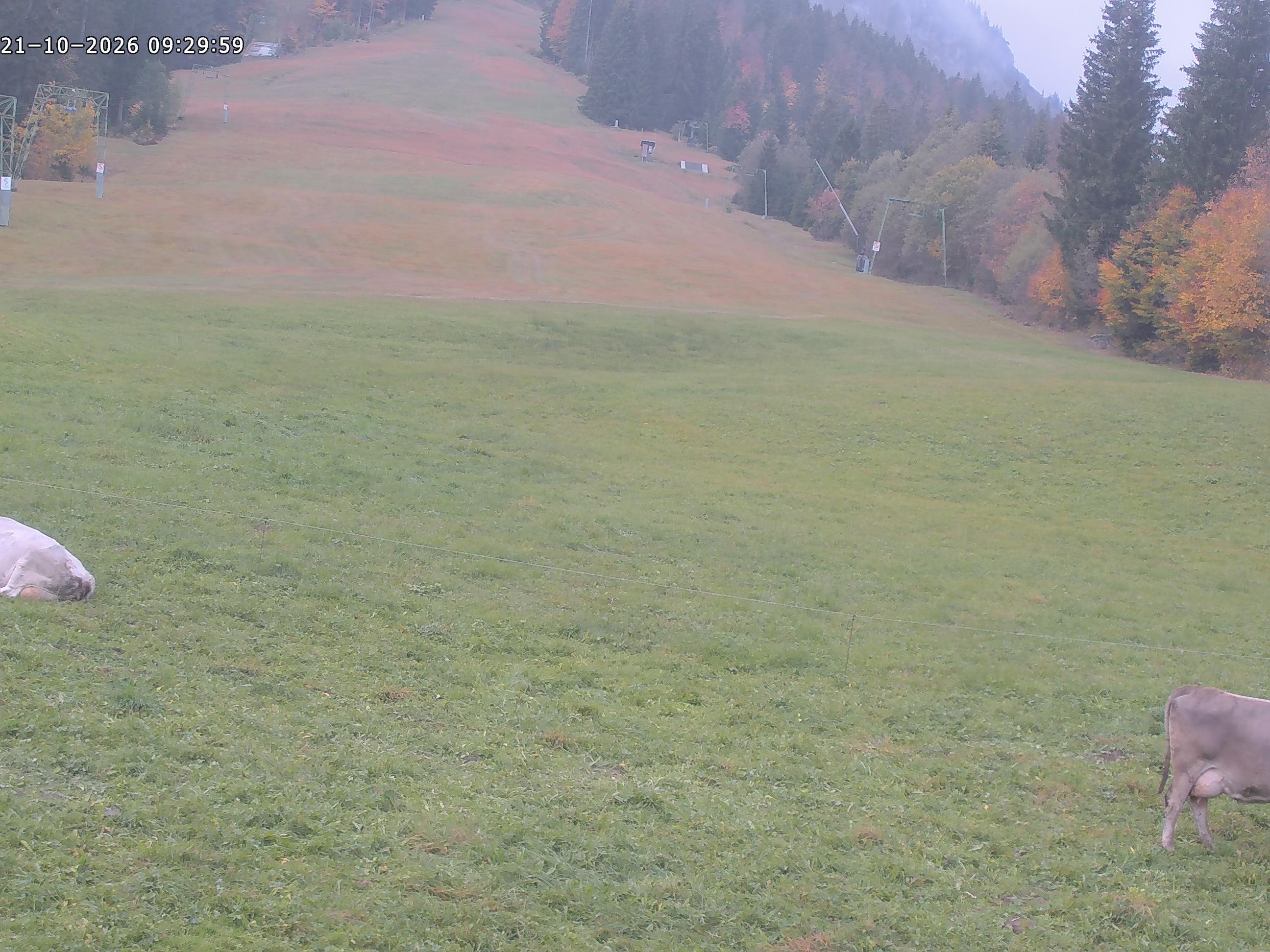 Archiv Foto Webcam Spieserlifte Unterjoch Blick auf die Piste