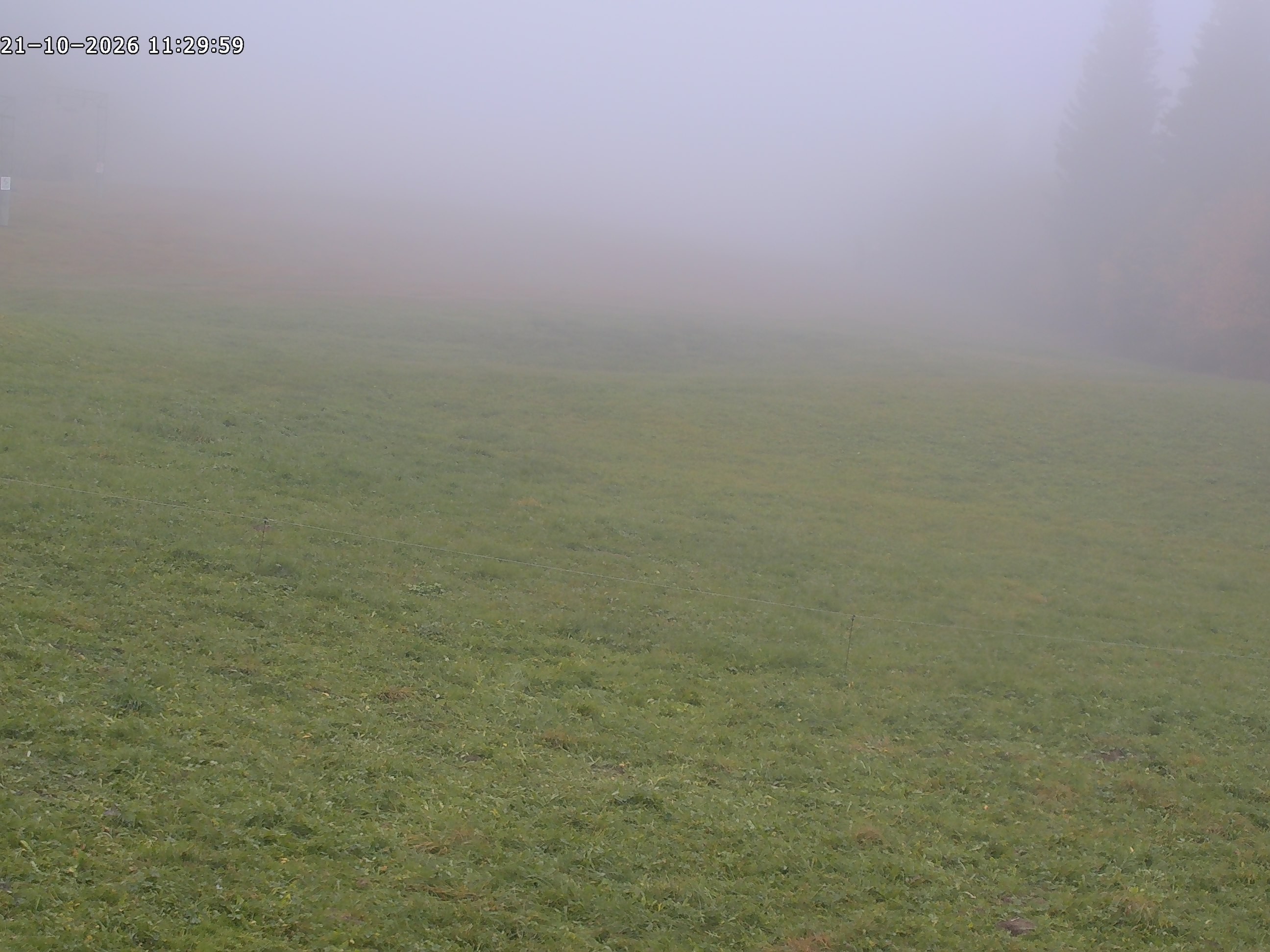 Archiv Foto Webcam Spieserlifte Unterjoch Blick auf die Piste
