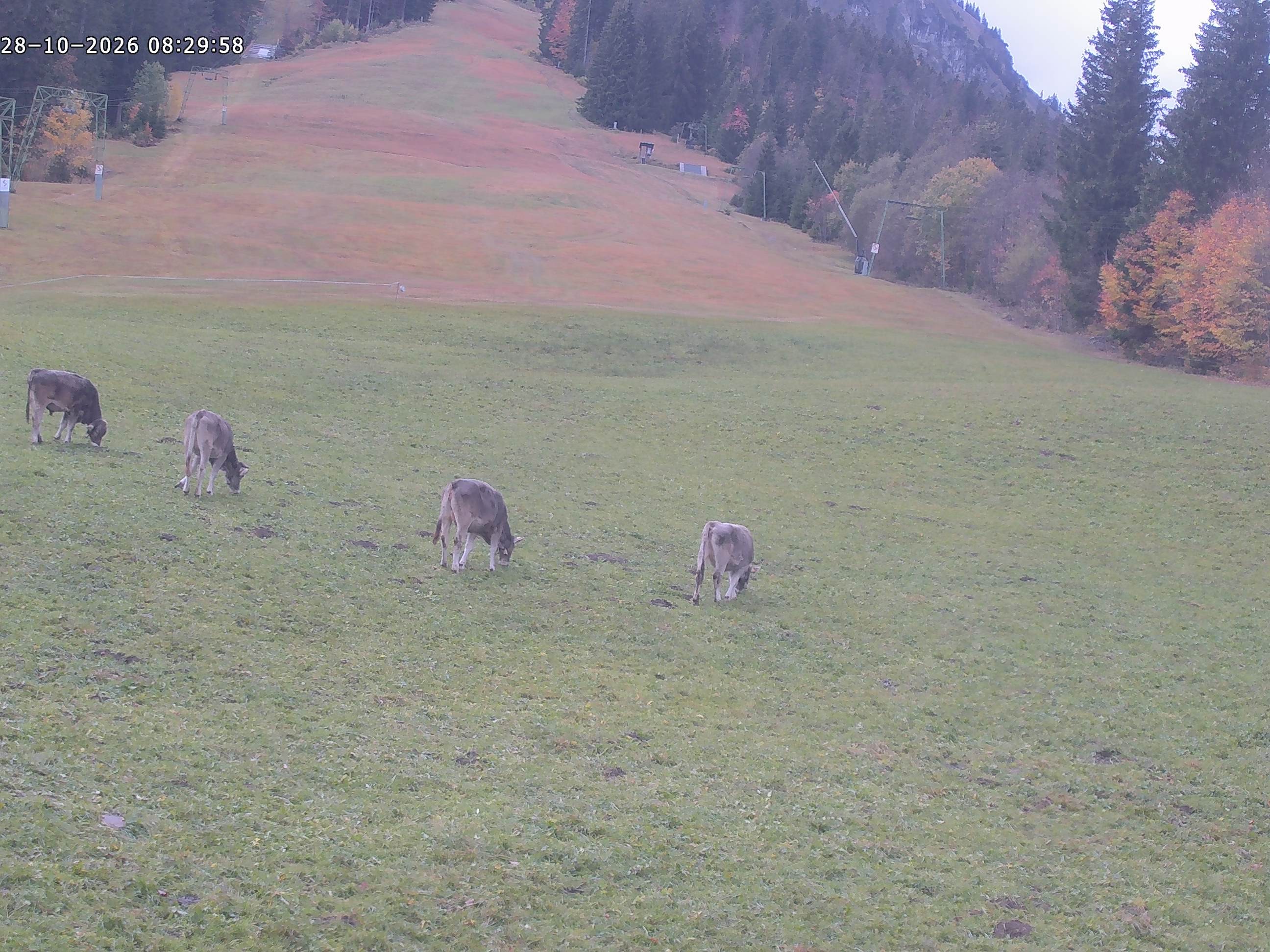 Archiv Foto Webcam Spieserlifte Unterjoch Blick auf die Piste
