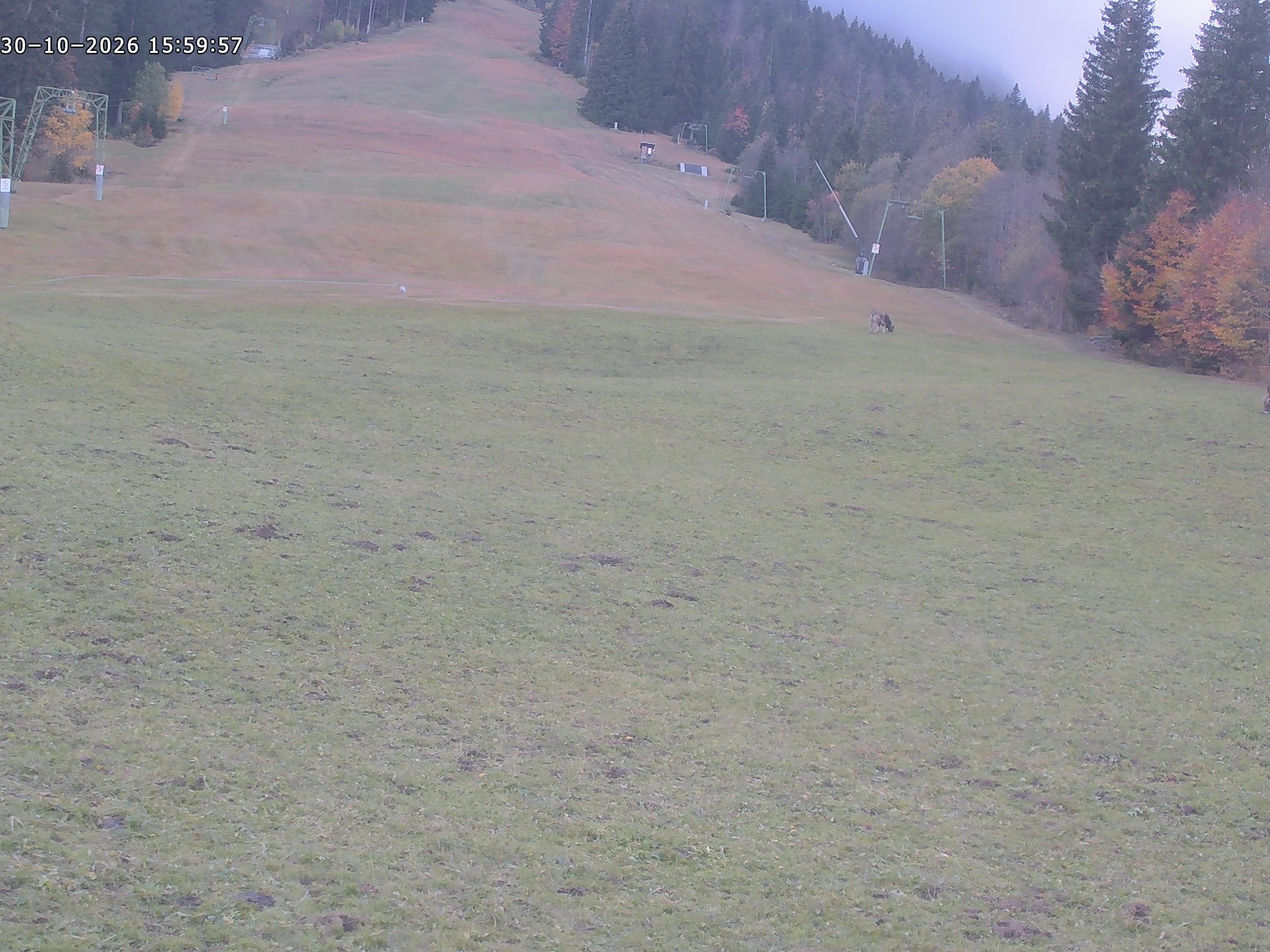 Archiv Foto Webcam Spieserlifte Unterjoch Blick auf die Piste