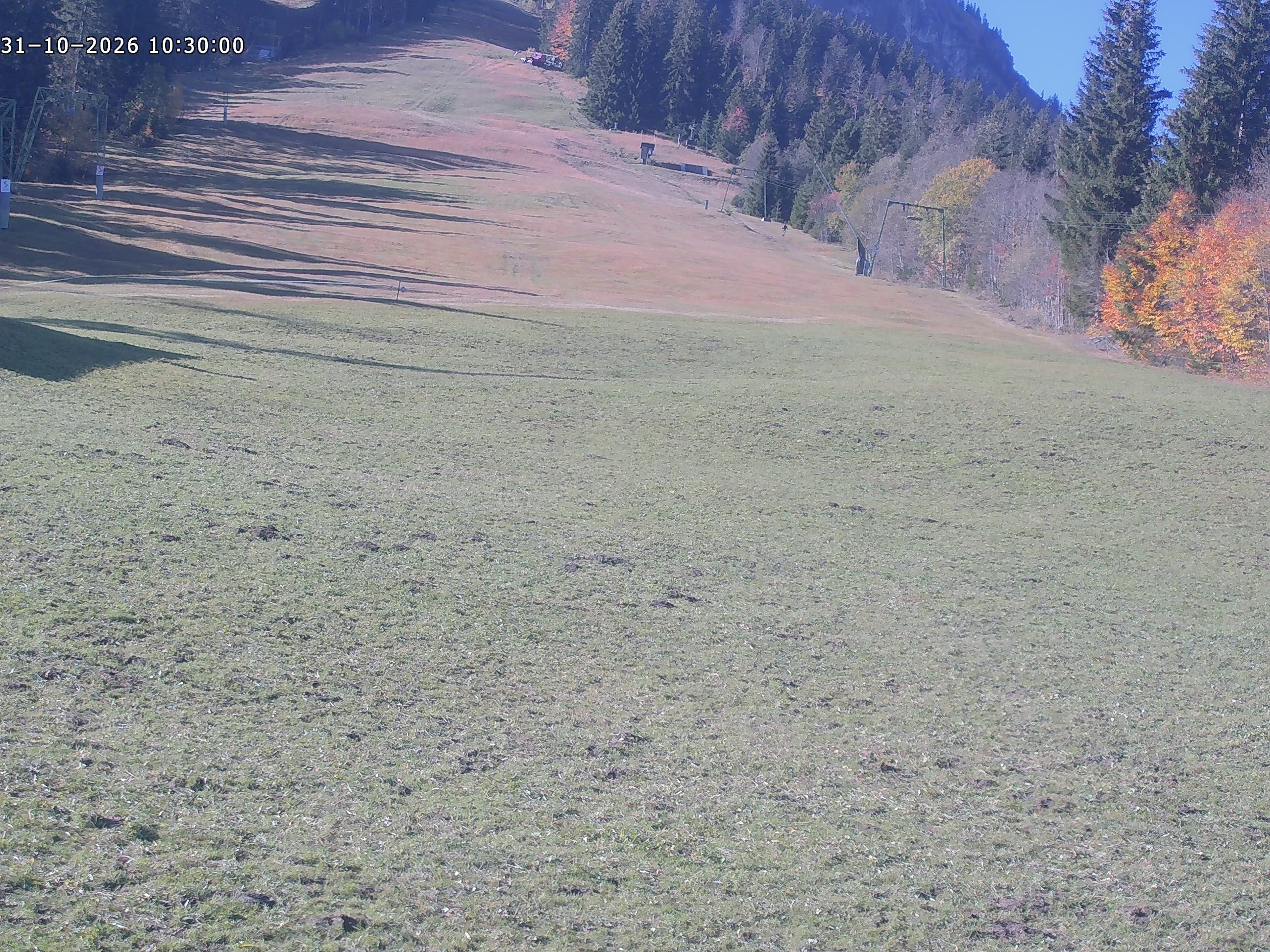 Archived image Webcam Spieserlifte Unterjoch View of the ski run