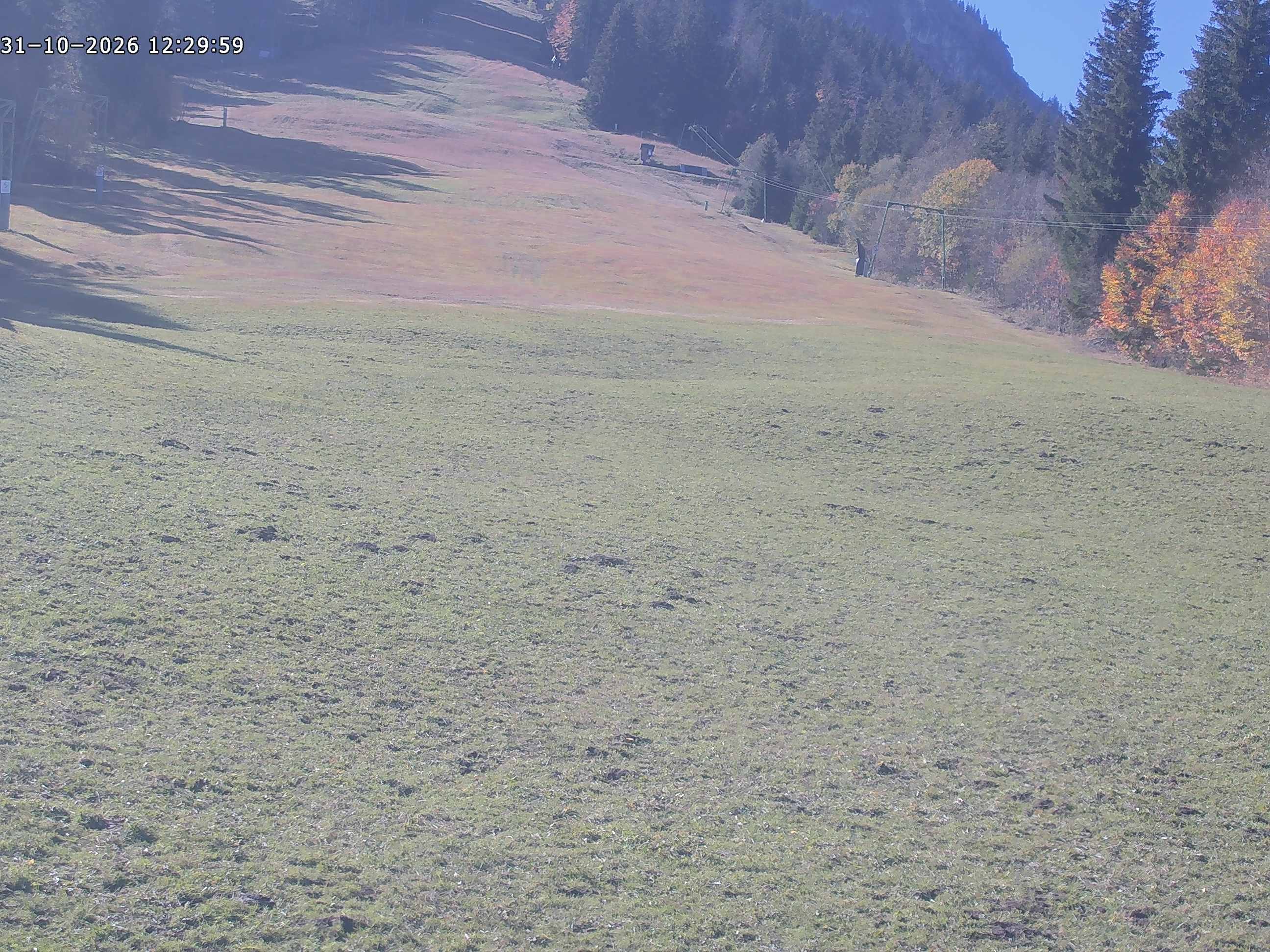 Archived image Webcam Spieserlifte Unterjoch View of the ski run