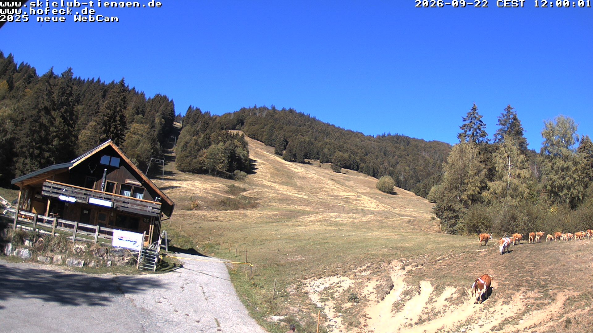 Archived image Webcam Skilifte Hofeck