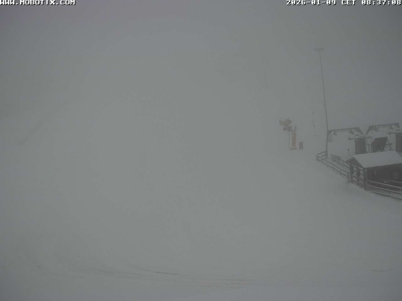 Archiv Foto Webcam Lifthang in Grün bei St. Englmar