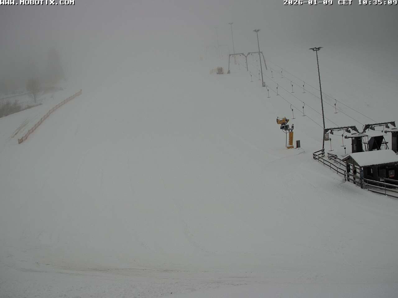 Archiv Foto Webcam Lifthang in Grün bei St. Englmar