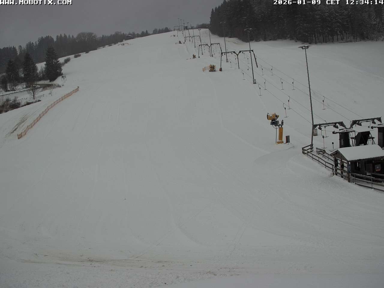 Archiv Foto Webcam Lifthang in Grün bei St. Englmar