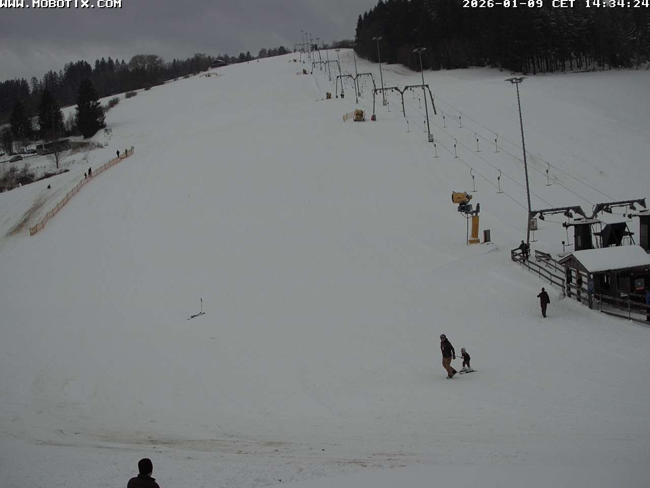 Archiv Foto Webcam Lifthang in Grün bei St. Englmar