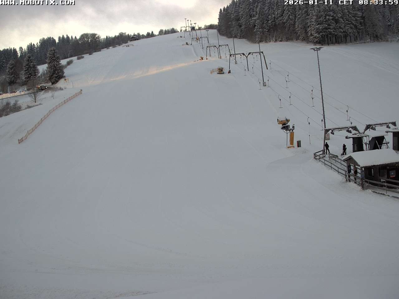 Archiv Foto Webcam Lifthang in Grün bei St. Englmar