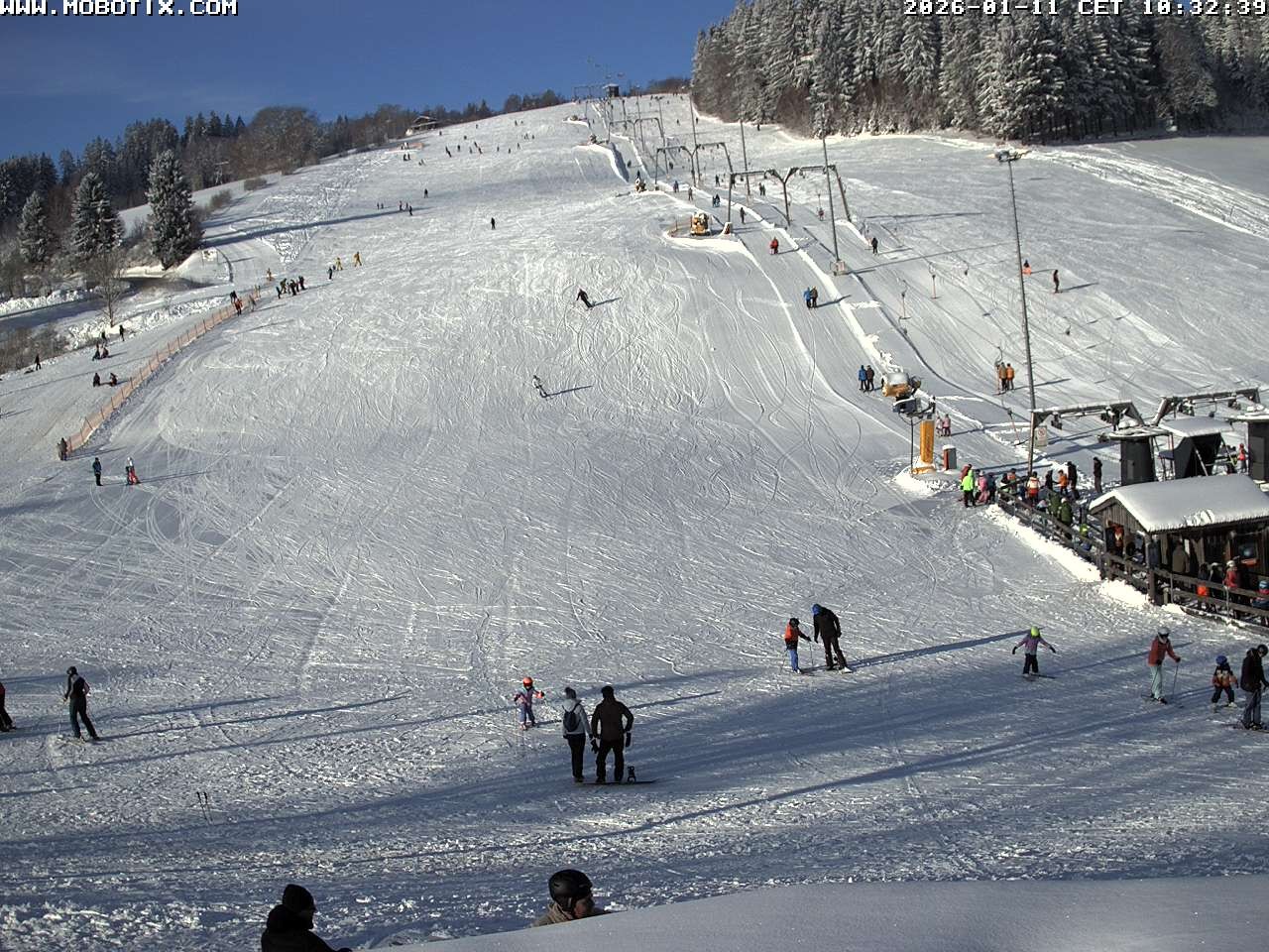 Archiv Foto Webcam Lifthang in Grün bei St. Englmar