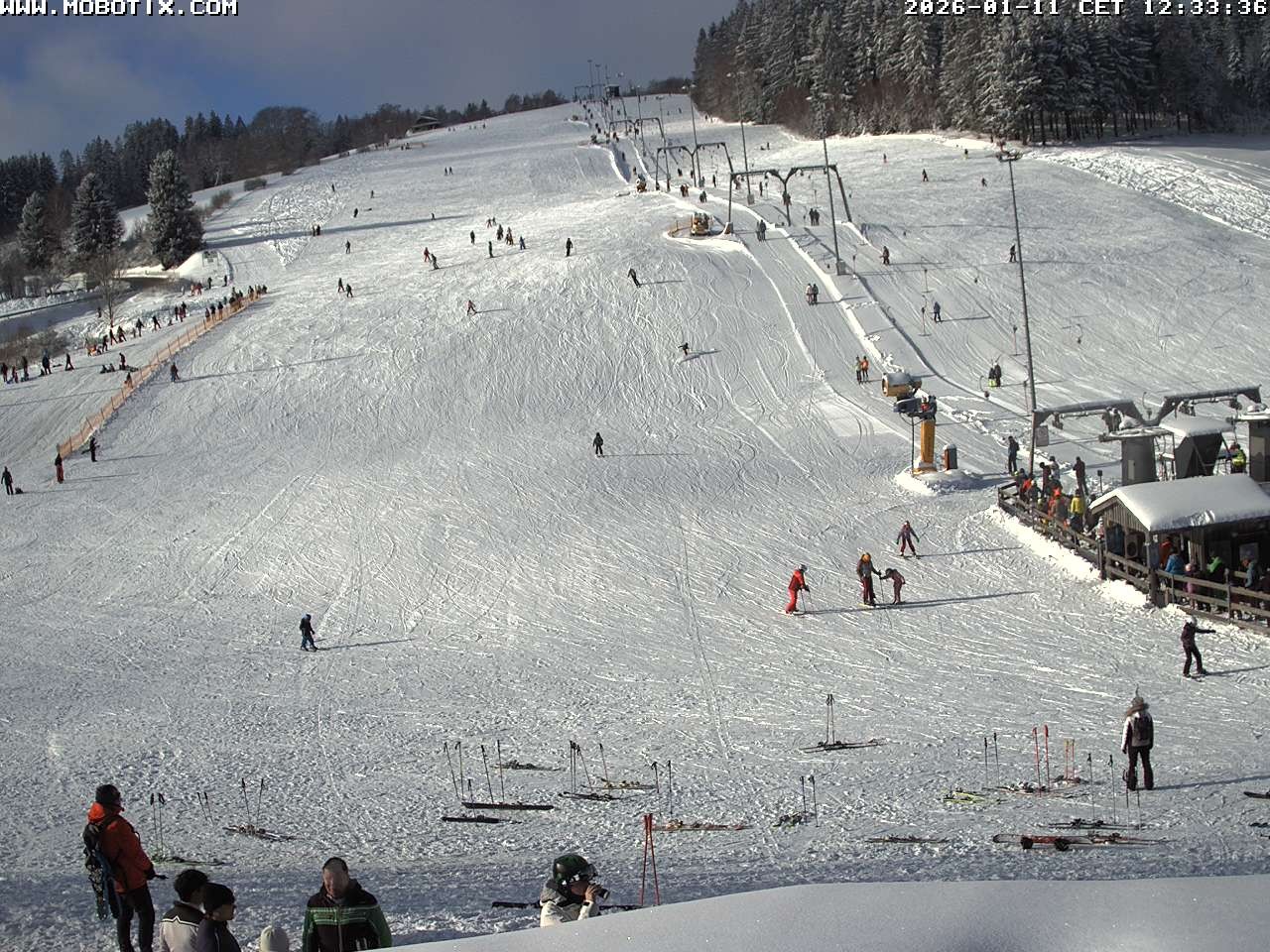 Archiv Foto Webcam Lifthang in Grün bei St. Englmar