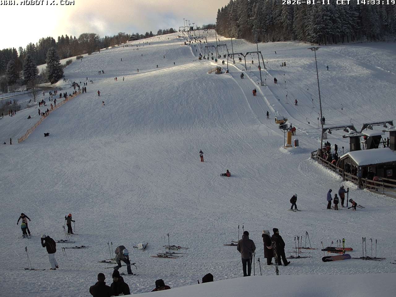 Archiv Foto Webcam Lifthang in Grün bei St. Englmar