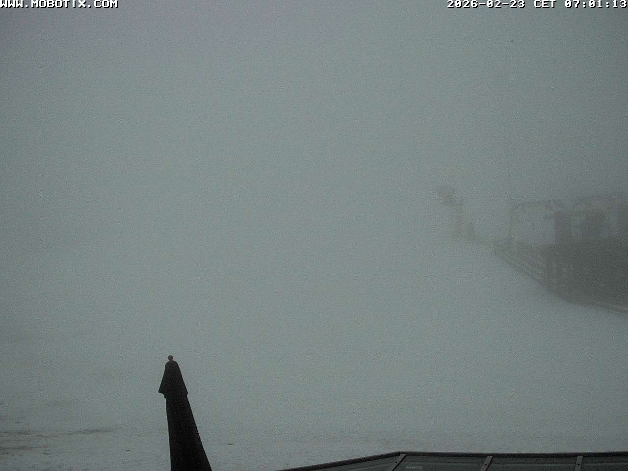 Archiv Foto Webcam Lifthang in Grün bei St. Englmar