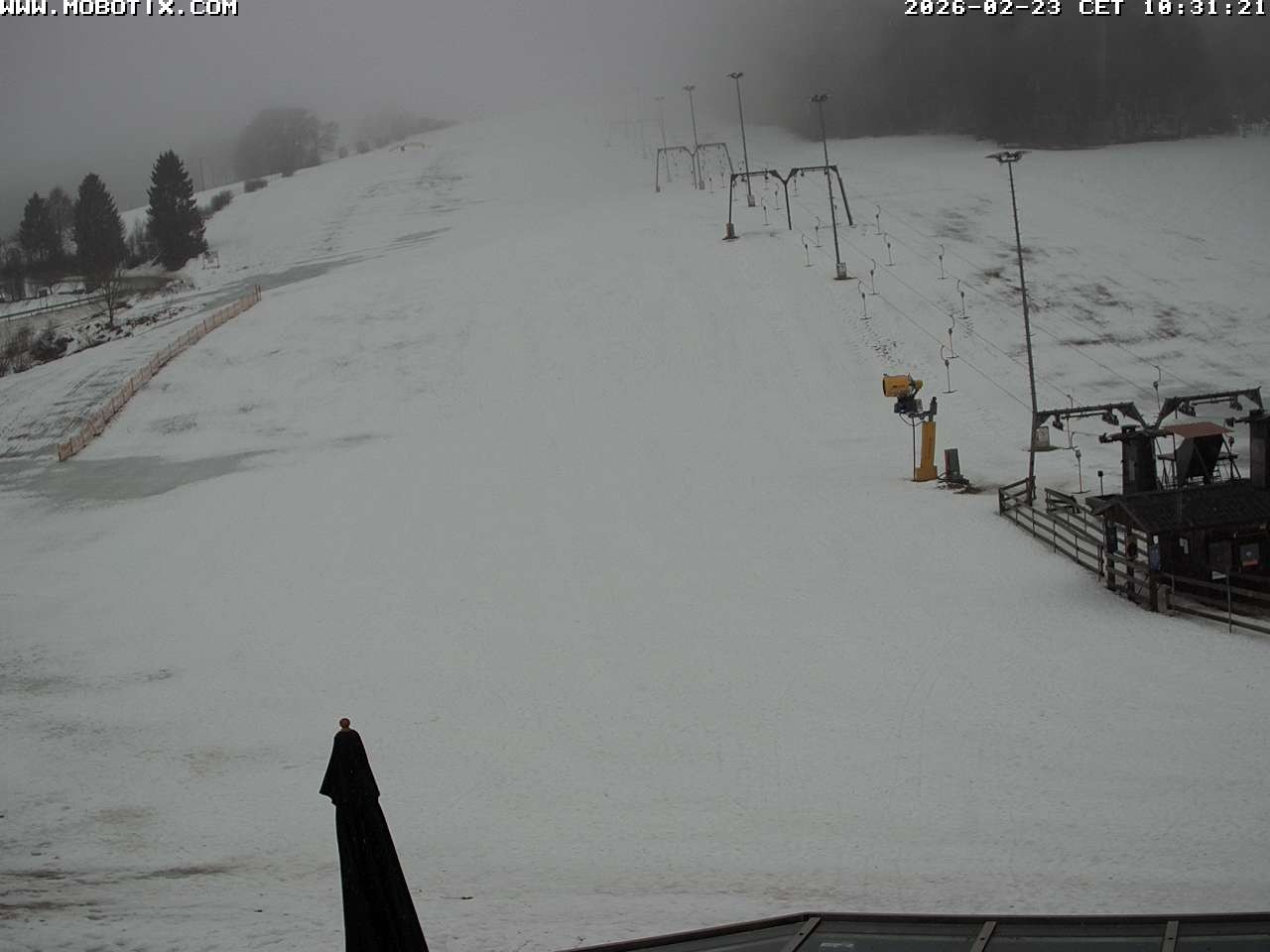 Archiv Foto Webcam Lifthang in Grün bei St. Englmar