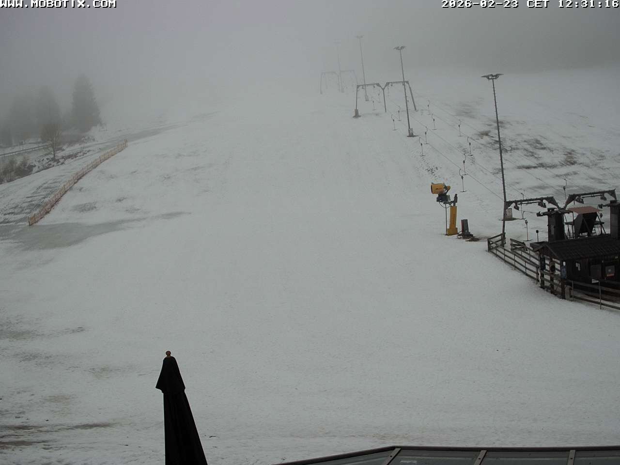 Archiv Foto Webcam Lifthang in Grün bei St. Englmar