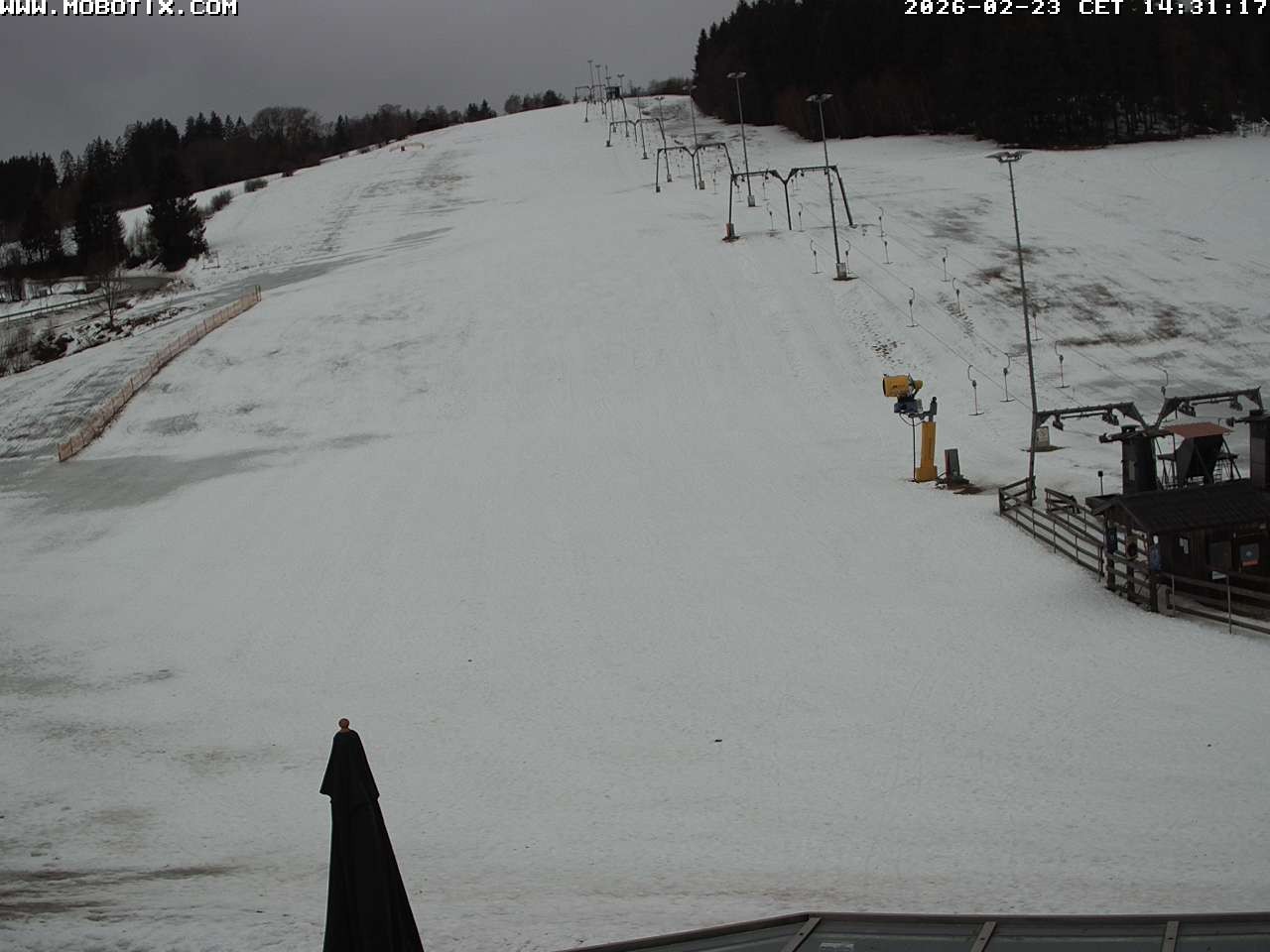 Archiv Foto Webcam Lifthang in Grün bei St. Englmar