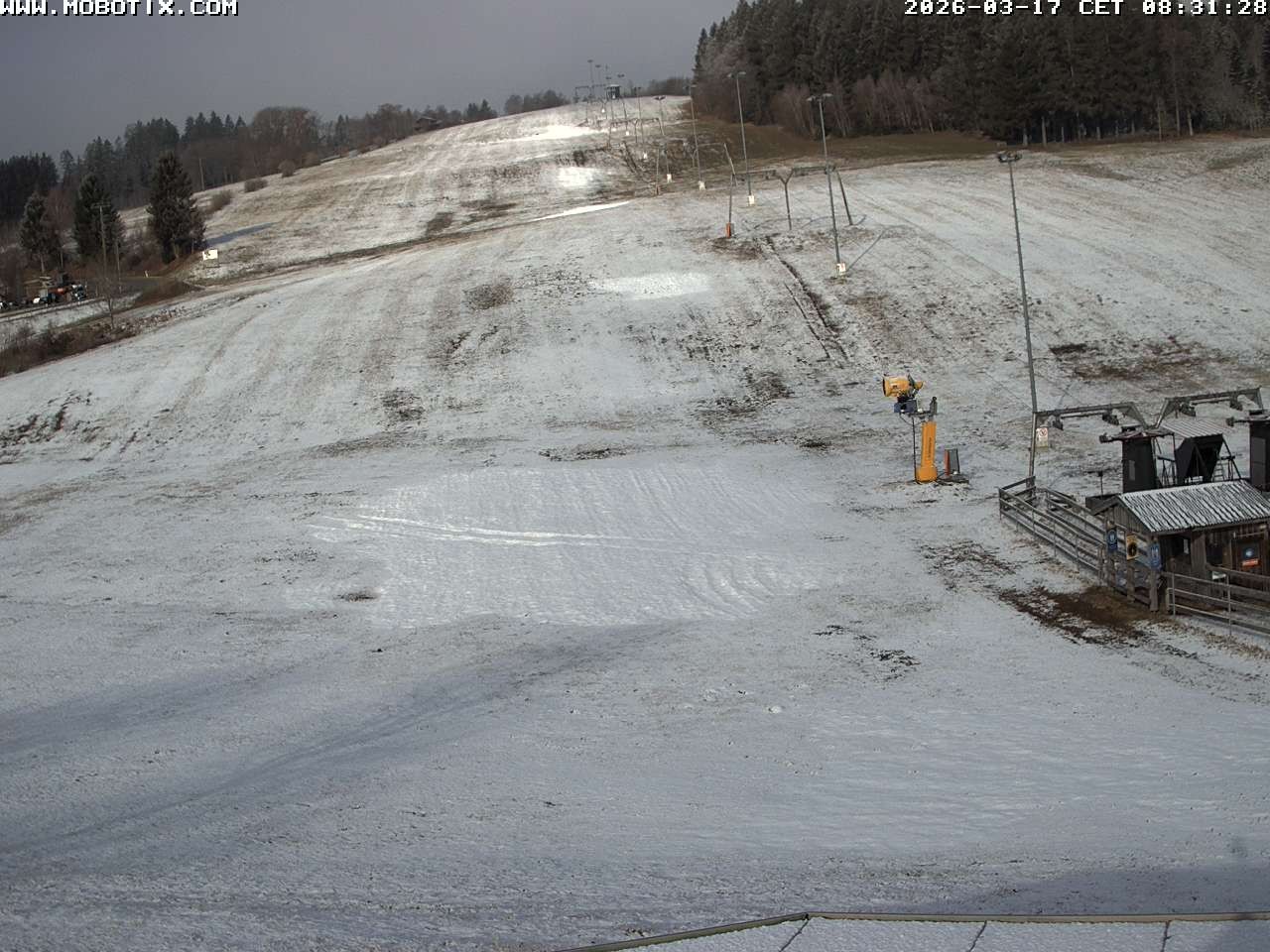 Archiv Foto Webcam Lifthang in Grün bei St. Englmar