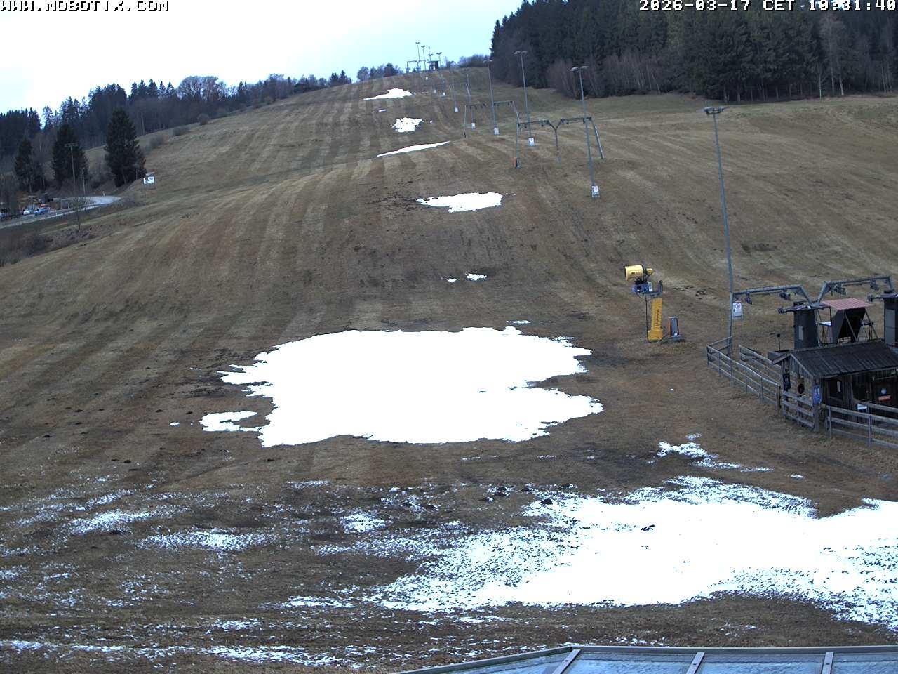 Archiv Foto Webcam Lifthang in Grün bei St. Englmar