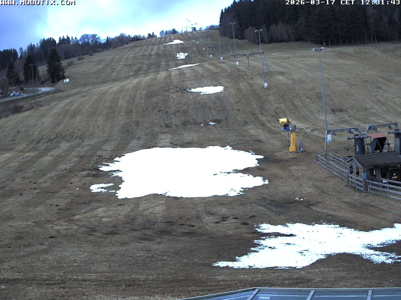 Archiv Foto Webcam Lifthang in Grün bei St. Englmar