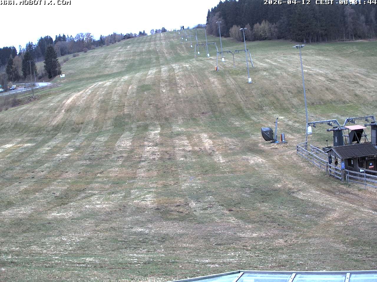 Archiv Foto Webcam Lifthang in Grün bei St. Englmar