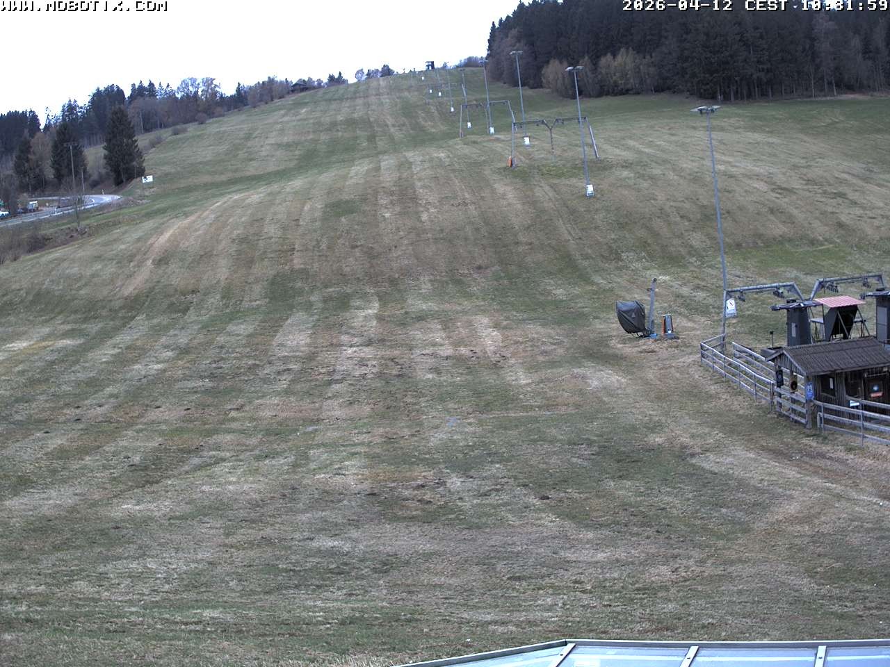 Archiv Foto Webcam Lifthang in Grün bei St. Englmar