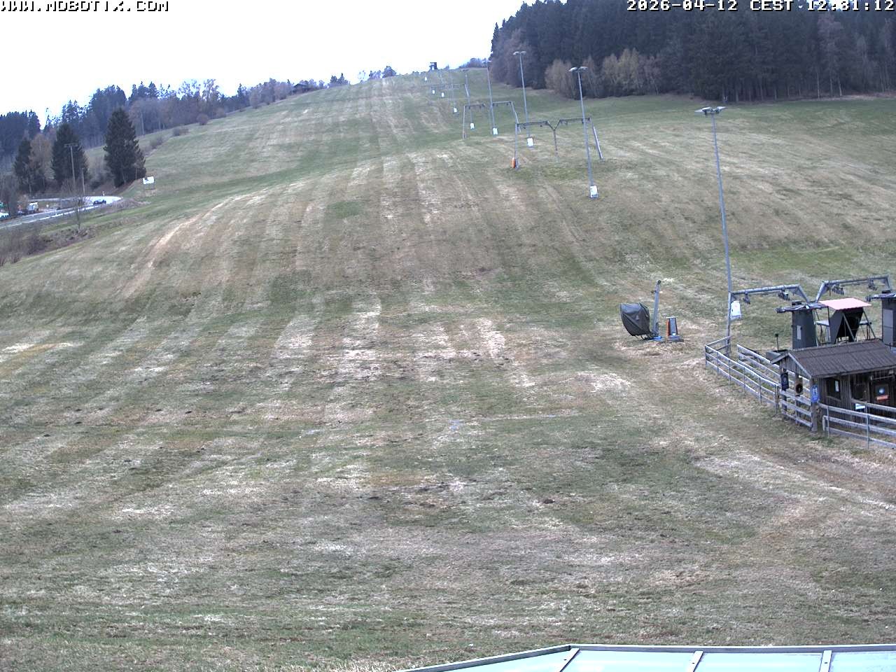 Archiv Foto Webcam Lifthang in Grün bei St. Englmar