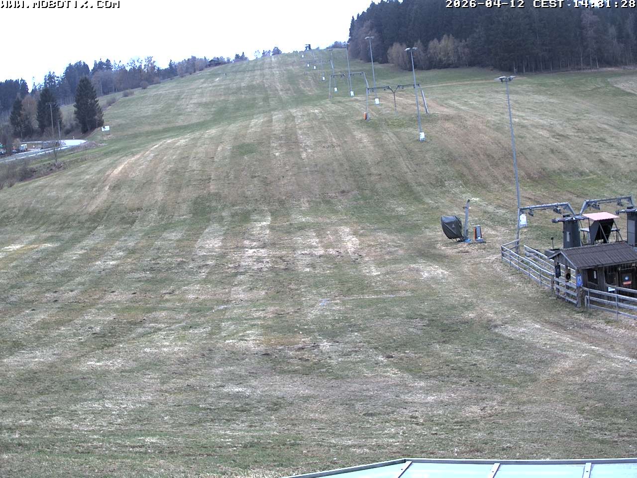 Archiv Foto Webcam Lifthang in Grün bei St. Englmar