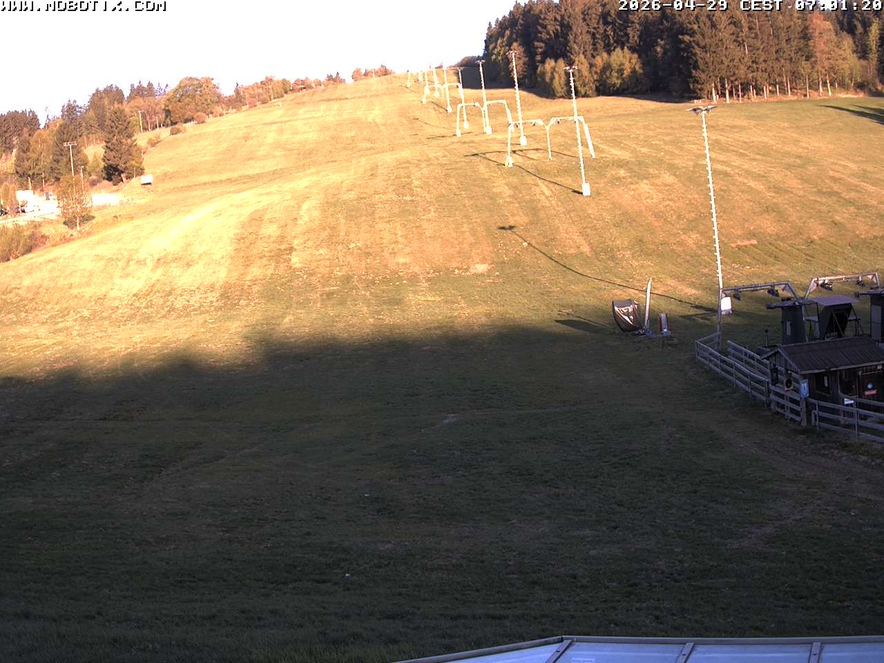 Archiv Foto Webcam Lifthang in Grün bei St. Englmar