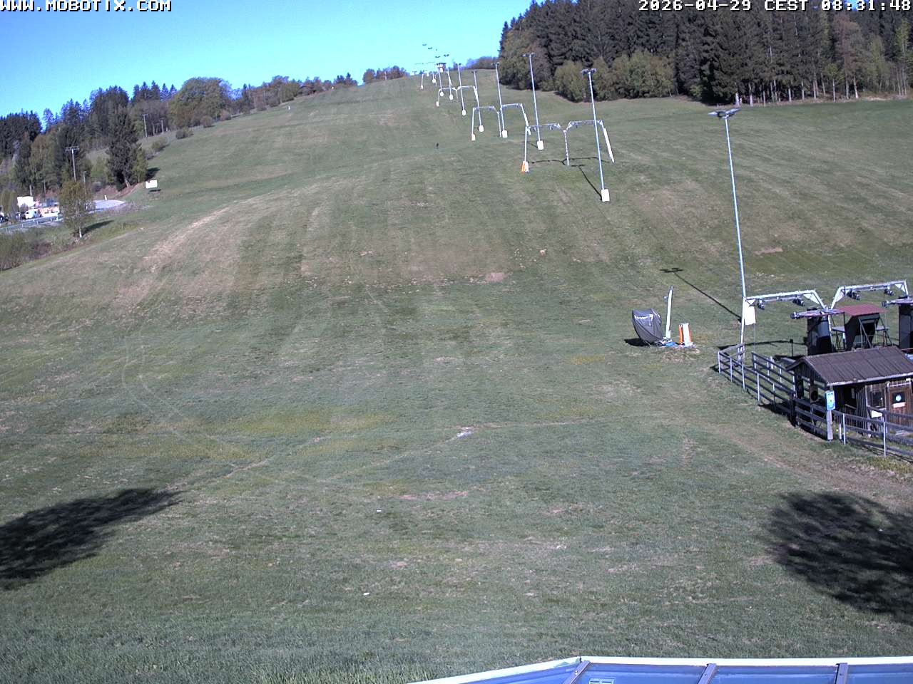 Archiv Foto Webcam Lifthang in Grün bei St. Englmar