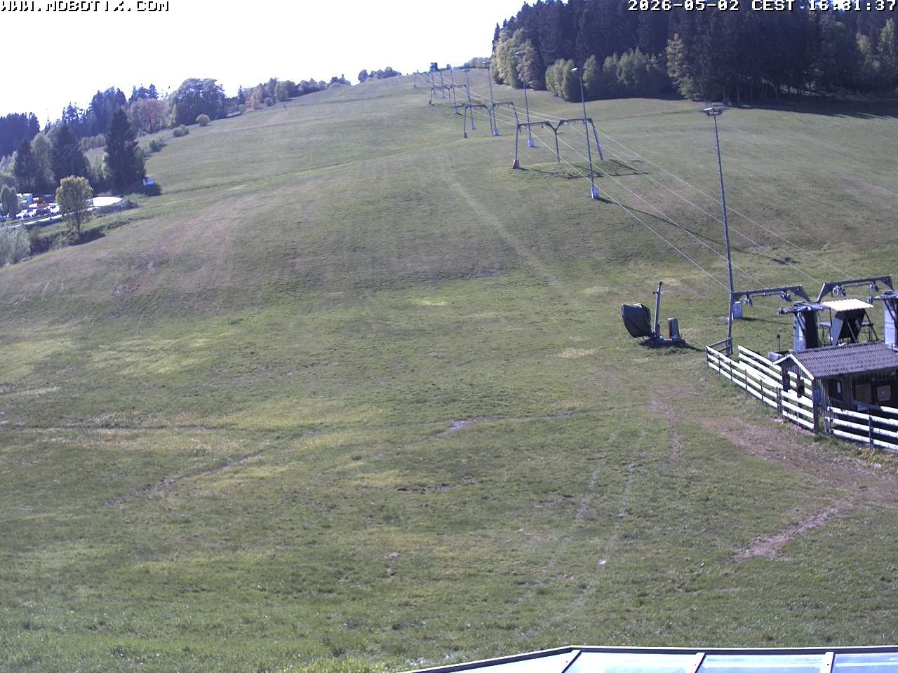 Archiv Foto Webcam Lifthang in Grün bei St. Englmar