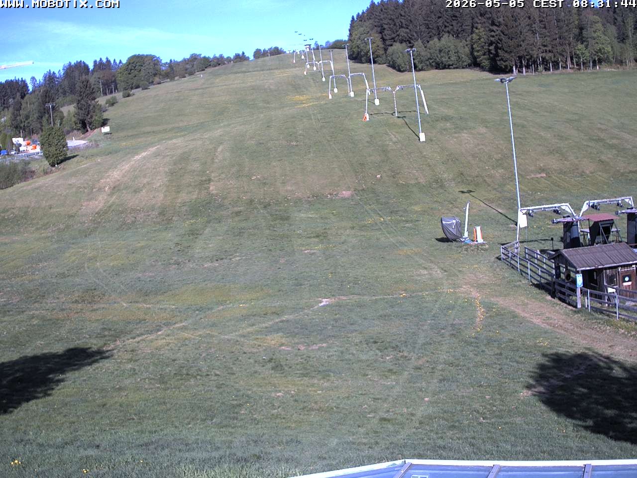 Archiv Foto Webcam Lifthang in Grün bei St. Englmar