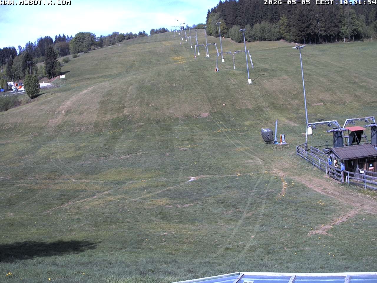 Archiv Foto Webcam Lifthang in Grün bei St. Englmar