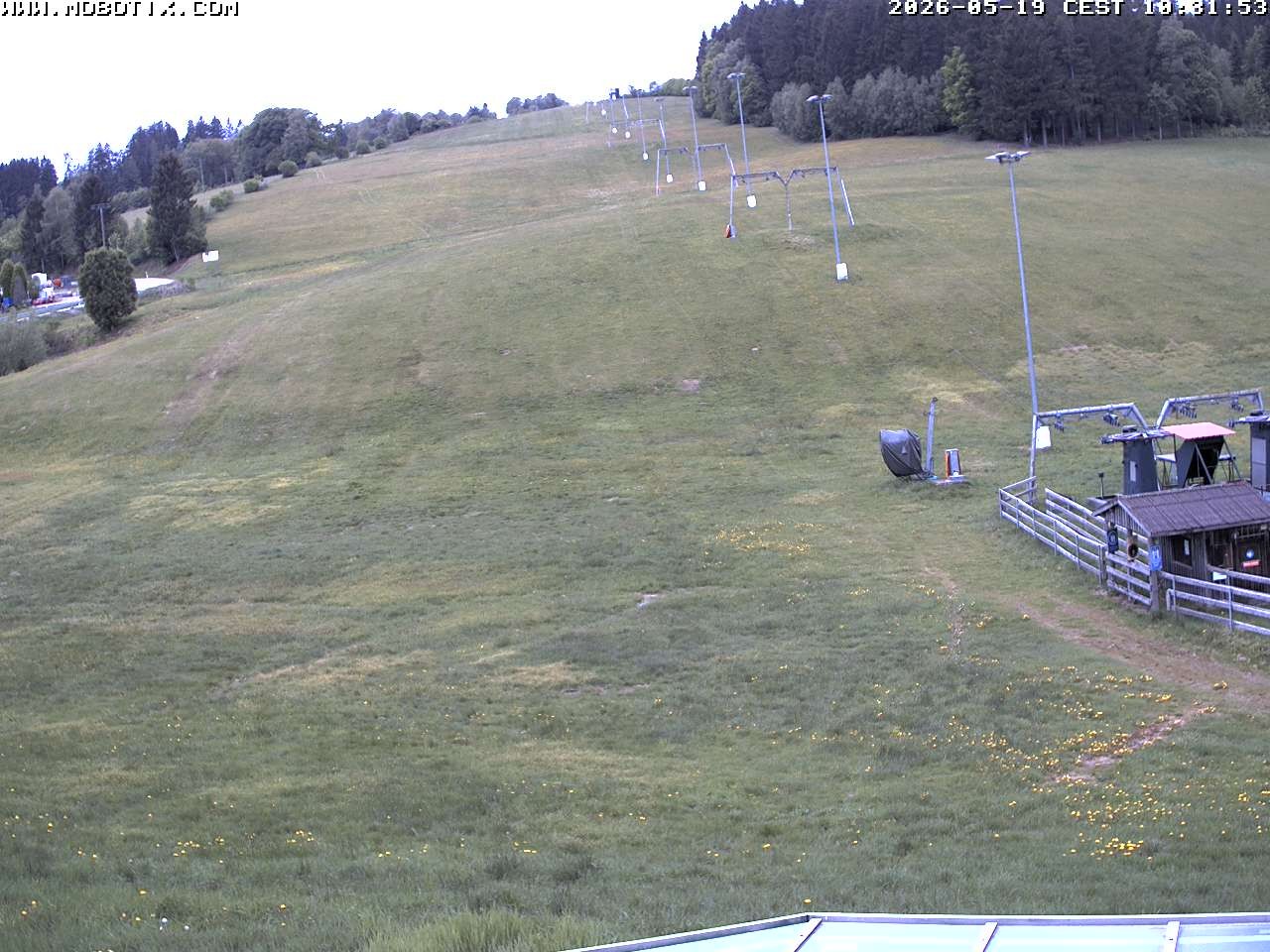 Archiv Foto Webcam Lifthang in Grün bei St. Englmar