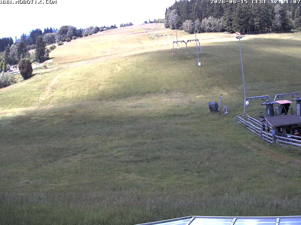 Archiv Foto Webcam Lifthang in Grün bei St. Englmar
