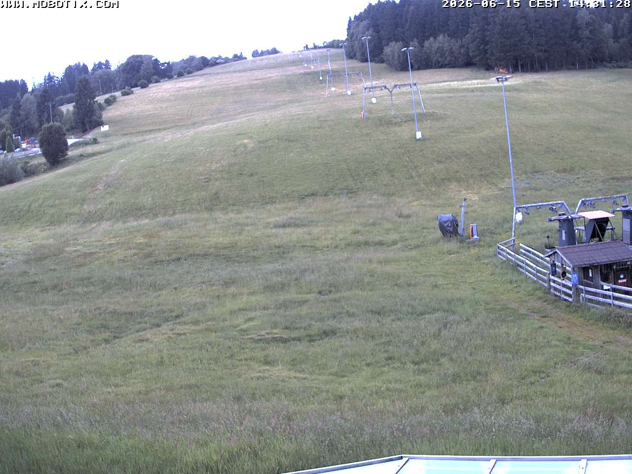 Archiv Foto Webcam Lifthang in Grün bei St. Englmar