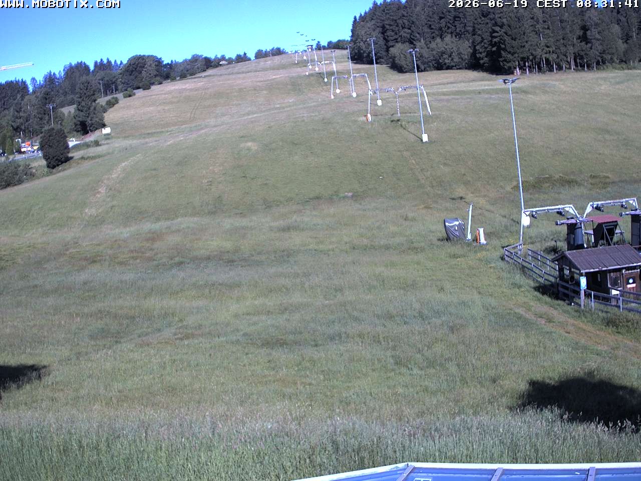 Archiv Foto Webcam Lifthang in Grün bei St. Englmar