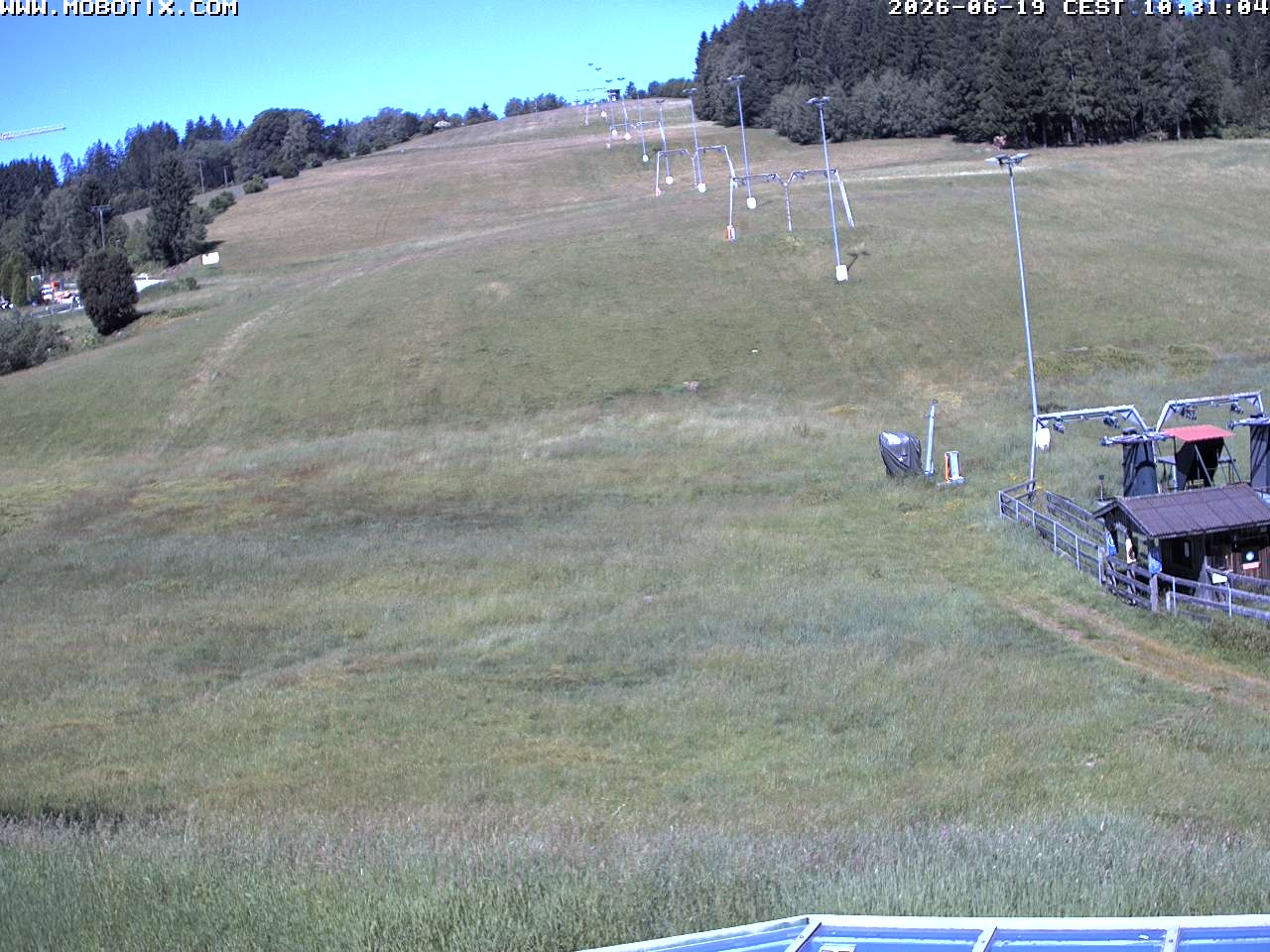 Archiv Foto Webcam Lifthang in Grün bei St. Englmar