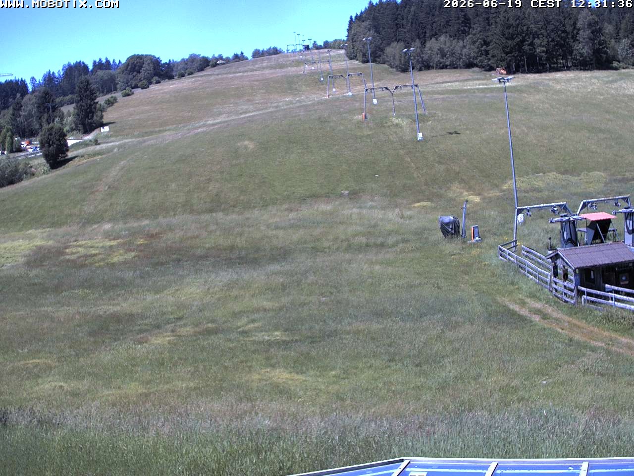 Archiv Foto Webcam Lifthang in Grün bei St. Englmar