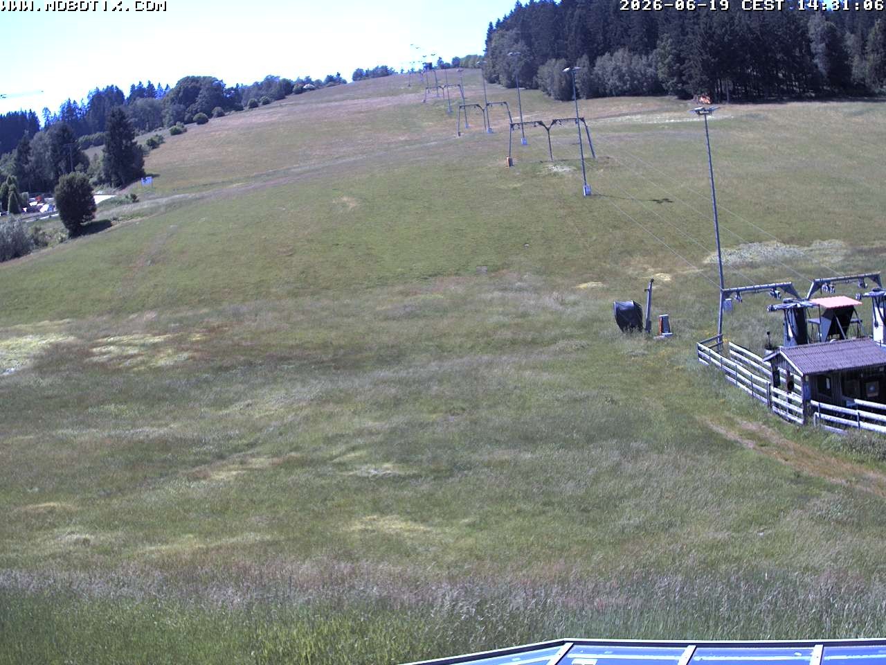 Archiv Foto Webcam Lifthang in Grün bei St. Englmar