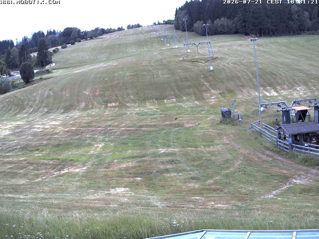 Archiv Foto Webcam Lifthang in Grün bei St. Englmar