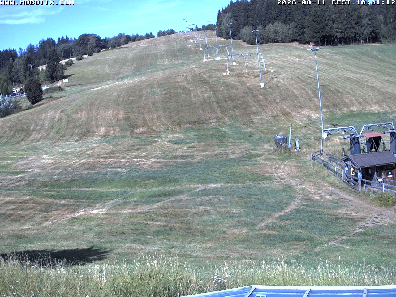 Archiv Foto Webcam Lifthang in Grün bei St. Englmar