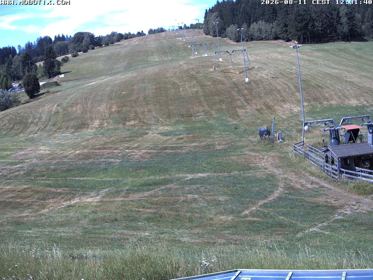 Archiv Foto Webcam Lifthang in Grün bei St. Englmar