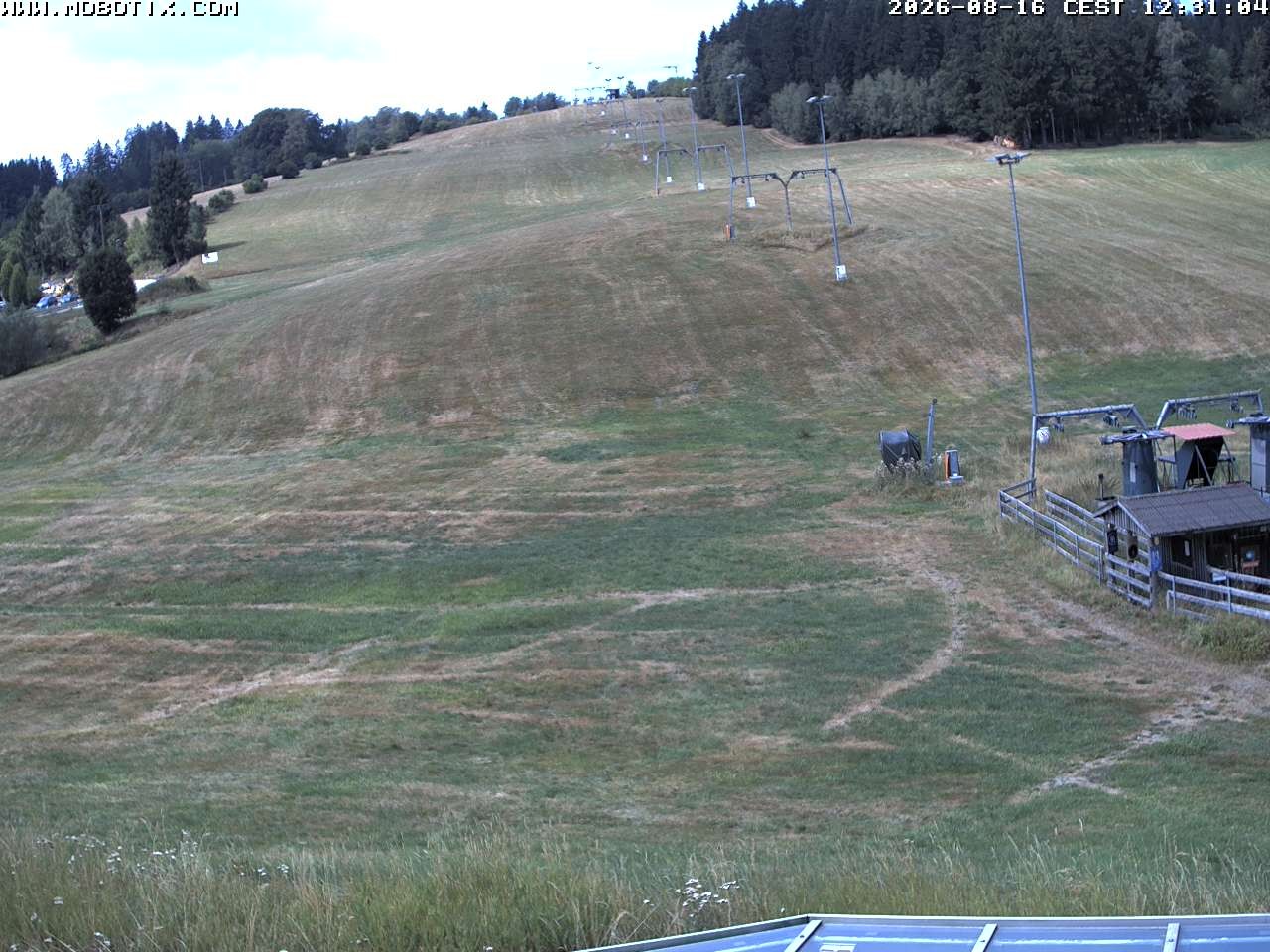 Archiv Foto Webcam Lifthang in Grün bei St. Englmar