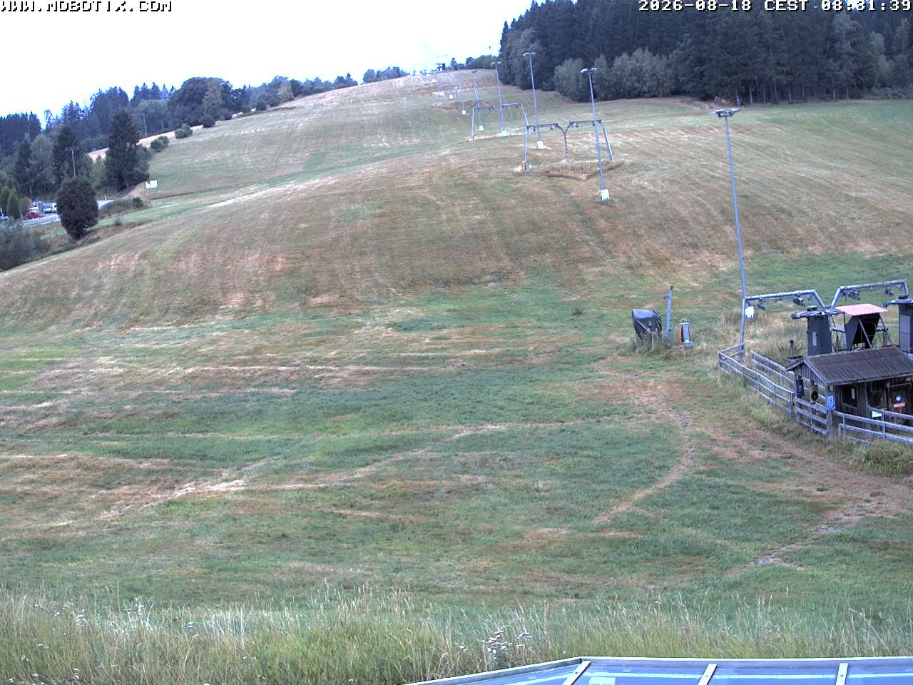 Archiv Foto Webcam Lifthang in Grün bei St. Englmar