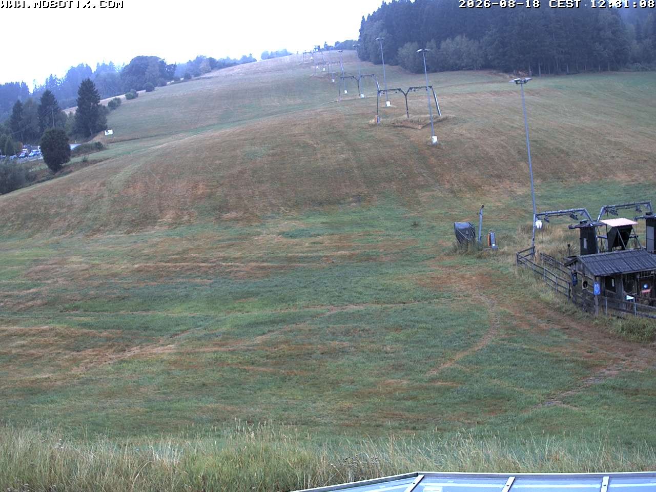 Archiv Foto Webcam Lifthang in Grün bei St. Englmar