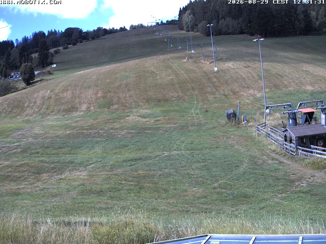 Archiv Foto Webcam Lifthang in Grün bei St. Englmar