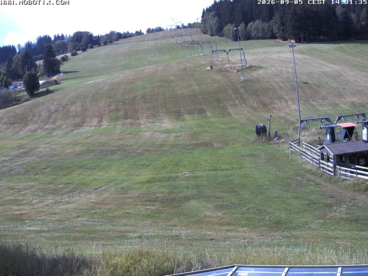 Archiv Foto Webcam Lifthang in Grün bei St. Englmar