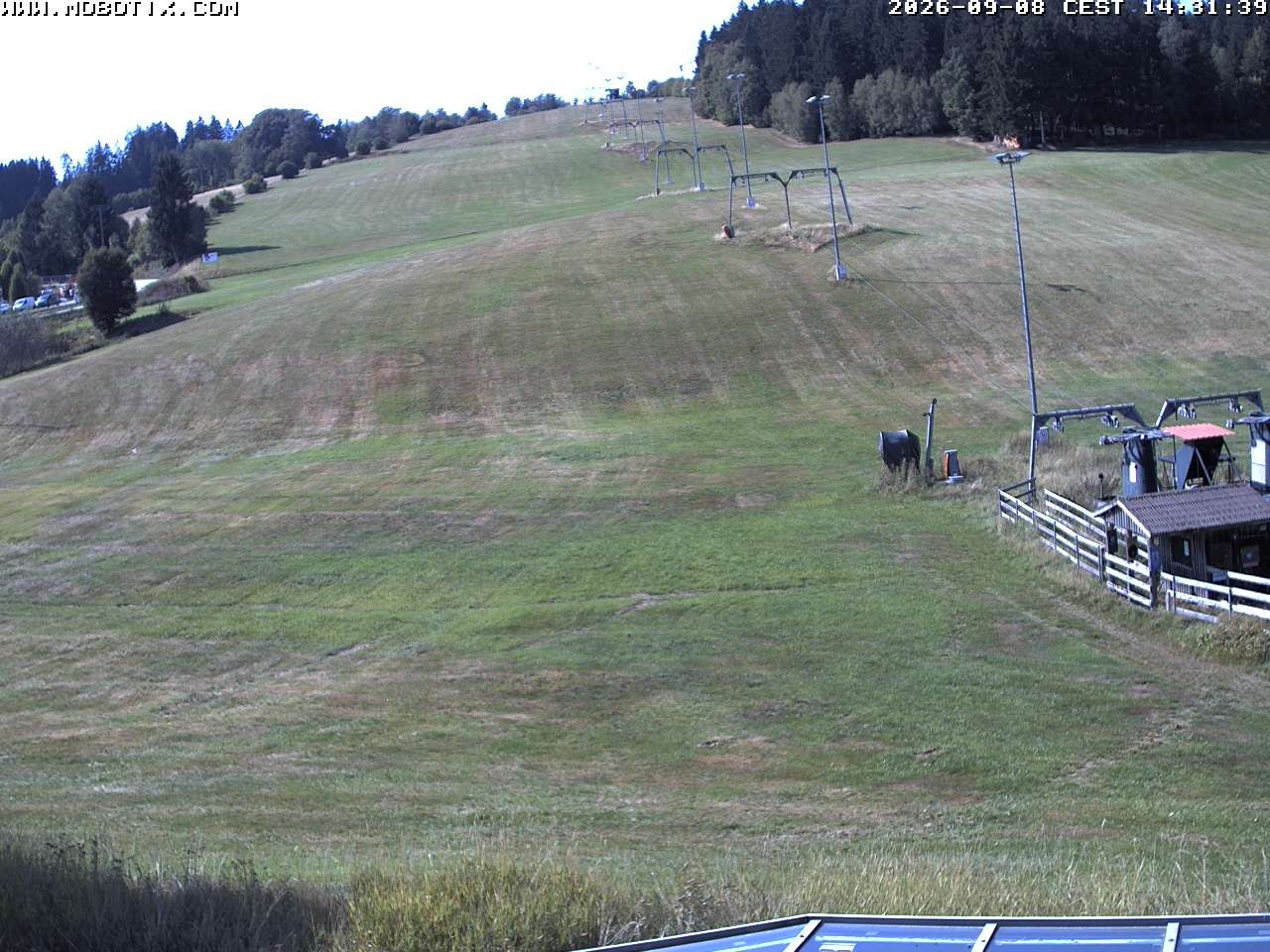 Archiv Foto Webcam Lifthang in Grün bei St. Englmar