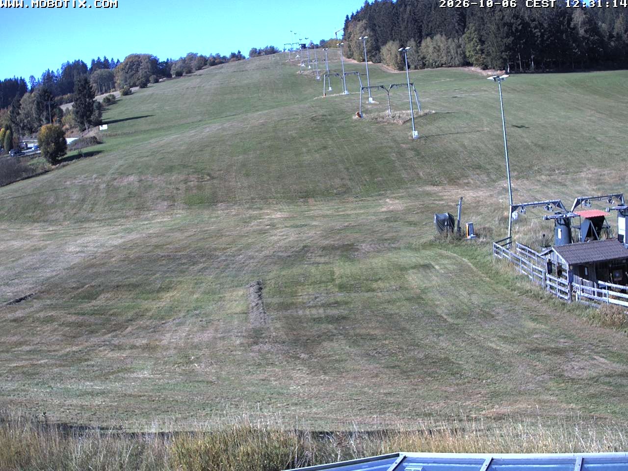 Archiv Foto Webcam Lifthang in Grün bei St. Englmar